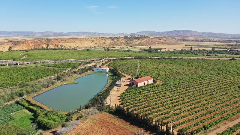Exploitation agricole avec cultures et bassin d’irrigation